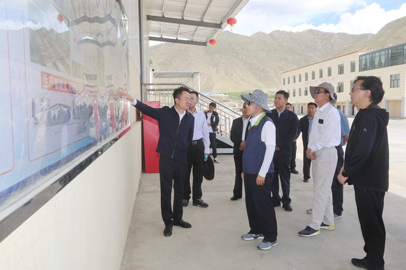 全国人大调研组在西藏宏农农牧有限公司调研_副本.jpg